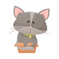 Fluffy Gray Colored Cat Sitting Inside Carton Box Vector Illustration Royalty Free Stock Photo