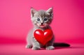 A fluffy gray kitten holds in its paws a red heart on a pink background with an empty seat on the right