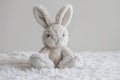 Fluffy Gray and White Stuffed Bunny Rabbit Sitting on a Soft Textured Blanket