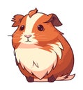 fluffy guinea pig isolated