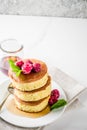 Fluffy Japan pancakes Royalty Free Stock Photo