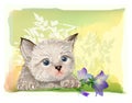 fluffy kitten with bluebell