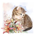 Fluffy kitten with lilies.