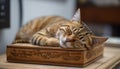 Fluffy kitten resting comfortably on table, playful and charming portrait generated by AI