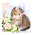 Fluffy kitten with roses.