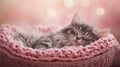 A fluffy kitten sleeping in a pink basket with a pink knitted blanket, soft pastel Royalty Free Stock Photo
