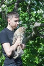 A fluffy kitty on a tree, a cat on a blooming apple tree against a blue sky, a fluffy green-eyed kitty. Royalty Free Stock Photo