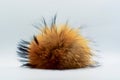 Fluffy lump, fluff in the center of the frame, fur toy, fluffy red fur, place for text