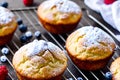Fluffy muffin with raspberries and blue berries on a table generated by ai