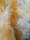 Fluffy multi-colored surface. Color fluffy background. colored fluff Royalty Free Stock Photo