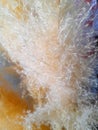 Fluffy multi-colored surface. Color fluffy background. colored fluff Royalty Free Stock Photo