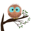 Fluffy Owl on A Tree Branch.