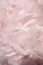 Fluffy pink feathers Royalty Free Stock Photo