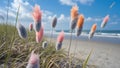 Fluffy Pink and Orange Grass on Beach Royalty Free Stock Photo
