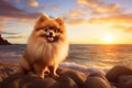 Fluffy Pomeranian dog cooling off. Generate ai Royalty Free Stock Photo