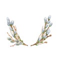 Fluffy pussy willow branches oval wreath floral spring composition, young twigs of trees, watercolor illustration for