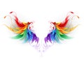 Fluffy rainbow wings Royalty Free Stock Photo