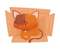 Fluffy Red Colored Cat Sitting Inside Carton Box Vector Illustration