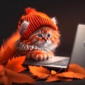 fluffy red kitten in an orange knitted hat works on a silver laptop