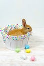 Fluffy red rabbit in a basket and colorful Easter eggs on a white table. Easter concept Royalty Free Stock Photo