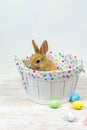 Fluffy redheaded rabbit in a basket and colorful Easter eggs on a white table. Easter concept Royalty Free Stock Photo