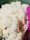 Fluffy rice in ceting. Royalty Free Stock Photo