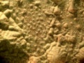 Fluffy sand produced by vibrating surface. Abstract background that looks like sand dunes from another planet