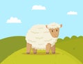 Fluffy Sheep Walking on Meadow Colorful Poster Royalty Free Stock Photo