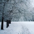 Pathway through a winter park. Aged photo.