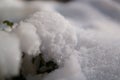Snow fluff; fast aperture lens Royalty Free Stock Photo