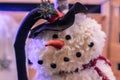 fluffy snowman Royalty Free Stock Photo