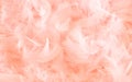 fluffy and soft pastel peach feathers in abstract composition, peach color, 2024 banner mockup with space for text