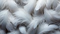 Fluffy swan wing, vibrant colors, effortless elegance in nature generated by AI