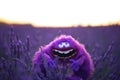 Fluffy toy Art from Monsters Inc cartoon in a lavender field