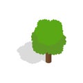 Fluffy tree icon, isometric 3d style