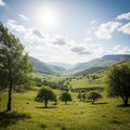 Fluffy white clouds. A sunlit valley is adorned with sparse trees Royalty Free Stock Photo