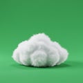 A fluffy, white cotton-like structure is positioned against a solid green background. Royalty Free Stock Photo