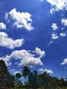 Fluffy white cumulus clouds drift across a bright blue summer sky Royalty Free Stock Photo