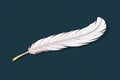 a fluffy, white down feather on black background Royalty Free Stock Photo