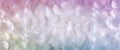 White and Rainbow coloured feather background banner