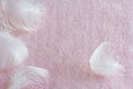 Fluffy white feathers on soft pink cashmere, gentle knitted background