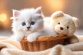 A fluffy white kitten with blue eyes lies in a basket with a toy bear. Royalty Free Stock Photo