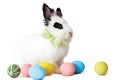 Fluffy white rabbit with Easter eggs Royalty Free Stock Photo