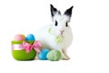 Fluffy white rabbit with Easter eggs isolated on white background. Royalty Free Stock Photo