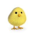 Fluffy Yellow Chick Royalty Free Stock Photo