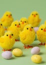 Fluffy Yellow Chicks and Pastel Easter Eggs on Green Background Royalty Free Stock Photo