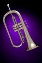 Flugalhorn or Flugelhorn Isolated on Purple Royalty Free Stock Photo