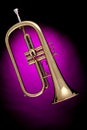 Flugalhorn Trumpet Isolated on Pink Royalty Free Stock Photo