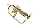 Flugelhorn Royalty Free Stock Photo