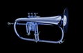Flugelhorn Royalty Free Stock Photo